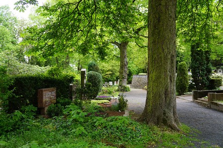 Bad Godesberg